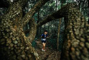 BIB: 
                            <button type="button" onclick="openModal(25670858)" class="btn btn-primary btn-sm float-right btn-popup" data-toggle="modal" data-target=".modal-high-quality">
                        <i class="fas fa-shopping-cart"></i> Add to Cart
                    </button>
                                            <button type="button" onclick="isThisMe(25670858, true)" class="btn btn-success btn-sm float-right btn-popup btn-isme hidden" data-toggle="tooltip" data-placement="bottom" title="นี่คือรูปของคุณใช่ไหม คลิกที่นี่เพื่อเอาเข้าอัลบั้ม">
                        <i class="fas fa-plus"></i> Add to album
                    </button>
                    <button type="button" onclick="isThisMe(25670858, false)" class="btn btn-warning btn-sm float-right btn-popup btn-isnotme hidden">
                        <i class="fas fa-ban"></i> Remove from album
                    </button>